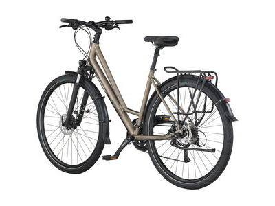 BERGAMONT Vitess 50 Amsterdam warm silver click to zoom image