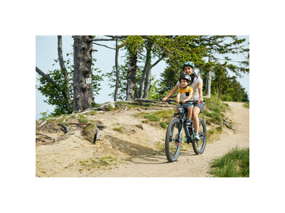 KIDS RIDE SHOTGUN Shotgun Child Bike Seat click to zoom image