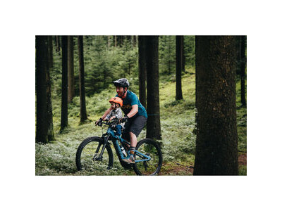 KIDS RIDE SHOTGUN Shotgun Pro Child Bike Seat click to zoom image