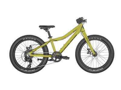 SCOTT Roxter 20 kids mountain bike