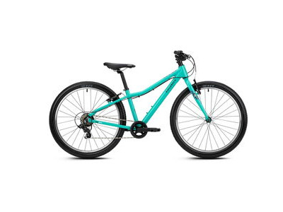 RIDGEBACK MX24 Mighty Mint