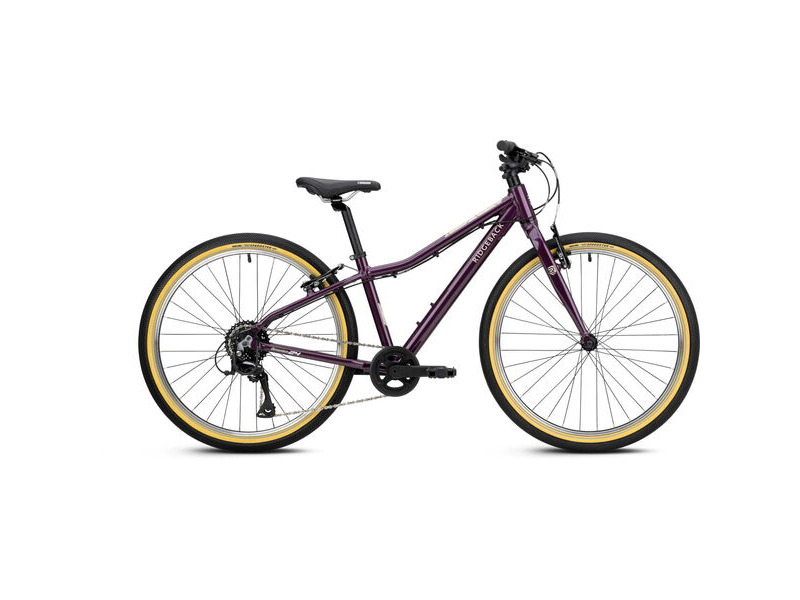 RIDGEBACK Dimension 24 Vanquish Violet click to zoom image